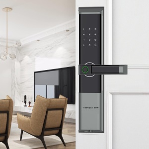 箭牌（ARROW）DG925指纹锁家用防盗门智能锁电子入户门密码锁 DG925黑色+免费安装+三年质保