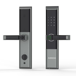 箭牌（ARROW）DG925指纹锁家用防盗门智能锁电子入户门密码锁 DG925黑色+免费安装+三年质保